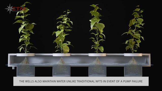 Hydroponic System -- Agriculture & AgTech animation